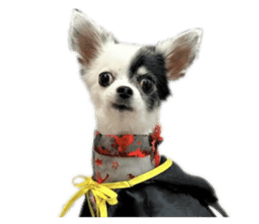 356912220