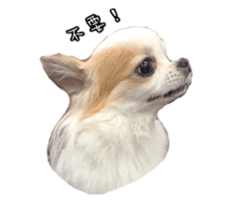 356944600