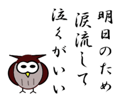 357054704