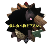 357235688