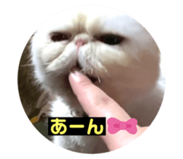 357238179