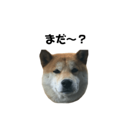 357405433