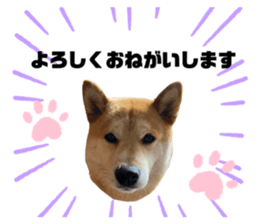 357405458