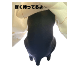 357430231