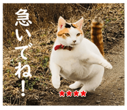 357463080