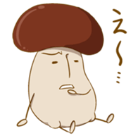 3574855