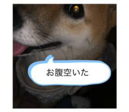 357499508