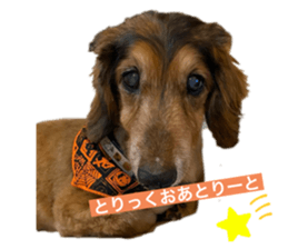 357520027