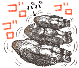 357520081