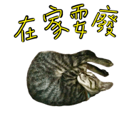 357601032