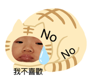 357623733
