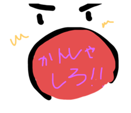 357645555