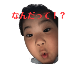 357662548