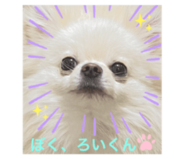 357830555