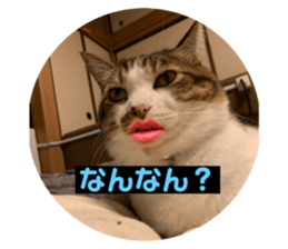 357847208