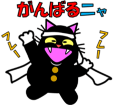 3579846