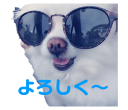 358050366