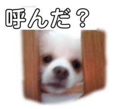 358050375