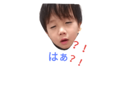 35806524