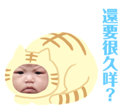358071635