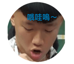 358080638