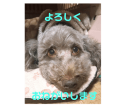 358176208
