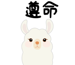 358216296