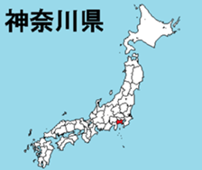 358218077