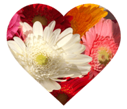 358238914