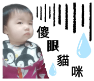 358239620