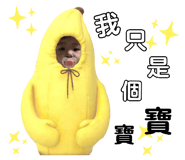 358239629