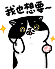 358241729