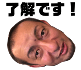 358244893