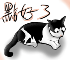 358324036