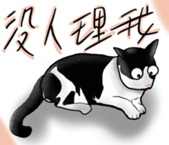 358324044