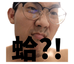 358332886