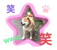358338264