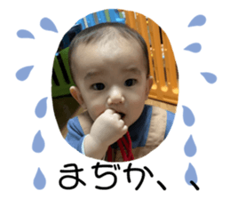 358338294