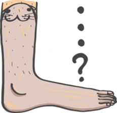 3583685