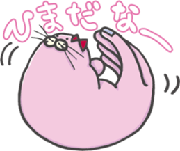 3583699