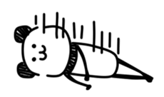 3583851