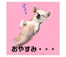 358420025