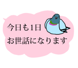 3584354