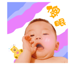358445347