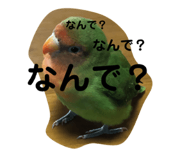 358471338