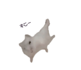 358481261