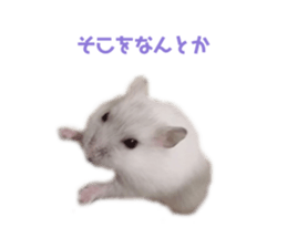 358481268
