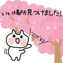 3586351