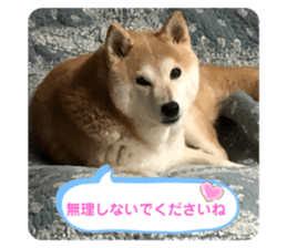 358676168