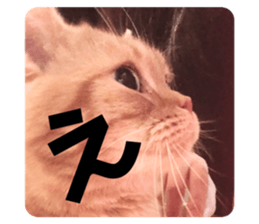 358693843